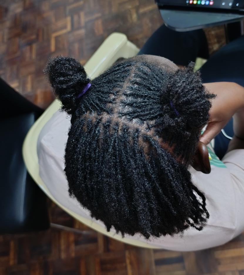 sister locs